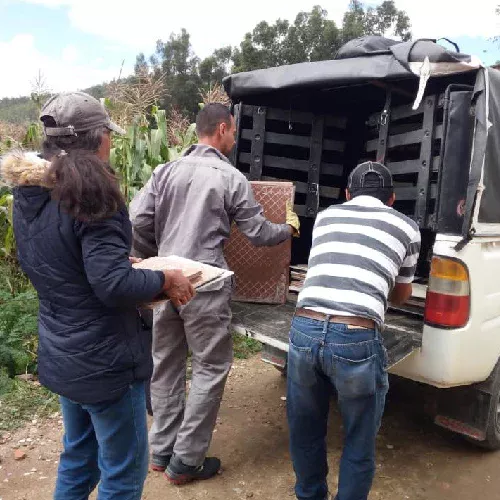 Entrega de materiales para mejora de vivienda PORTADA