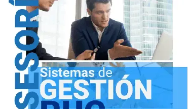 Asesoría Sistemas de Gestión RUC