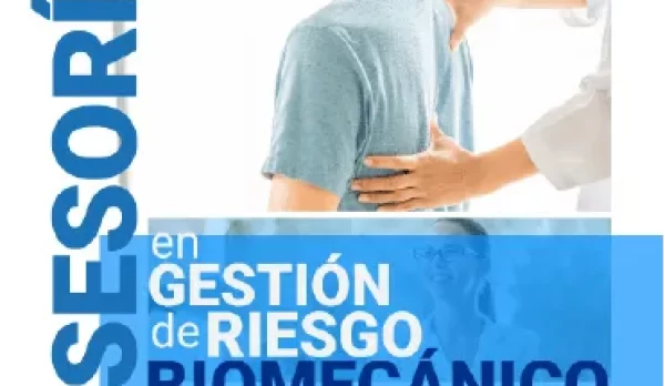 Asesoría en Gestión de Riesgo Biomecánico