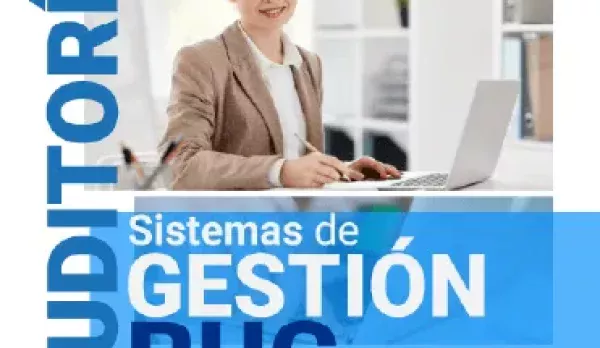 Auditoria Sistemas de Gestión RUC